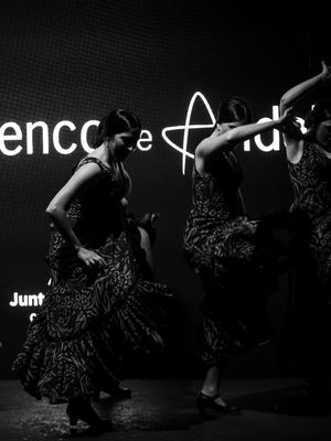 Ballet Flamenco de Andalucía