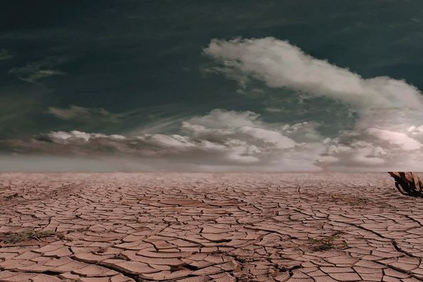 Audiciones Coro Teatro de la Maestranza. Ópera Aida de Verdi